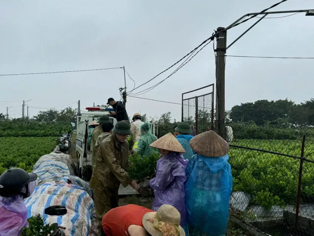 Hưng Yên, Hải Dương phát lệnh báo động lũ lụt mức độ 3 trên nhiều hệ thống sông - Ảnh 3.