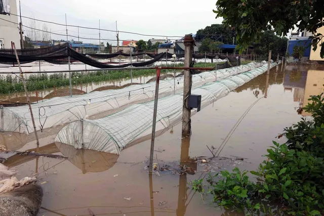 Phó Thủ tướng Trần Hồng Hà kiểm tra công tác khắc phục hậu quả sau bão số 3 tại tỉnh Nam Định - Ảnh 3.