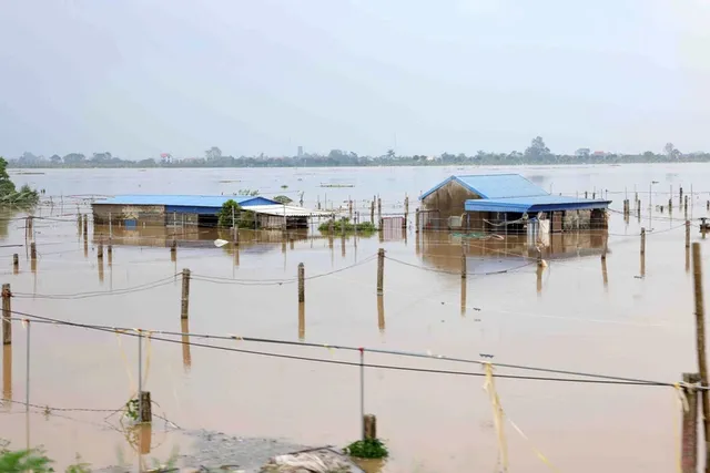 Phó Thủ tướng Trần Hồng Hà kiểm tra công tác khắc phục hậu quả sau bão số 3 tại tỉnh Nam Định - Ảnh 5.