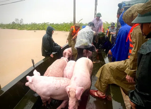 Thái Bình khẩn trương di dời người dân vùng nguy cơ ngập  - Ảnh 10.