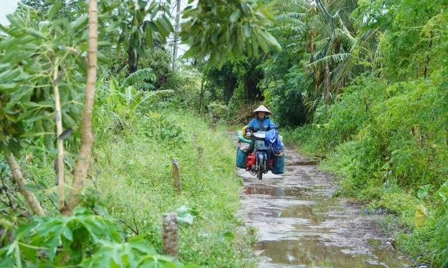 Thái Bình khẩn trương di dời người dân vùng nguy cơ ngập  - Ảnh 3.