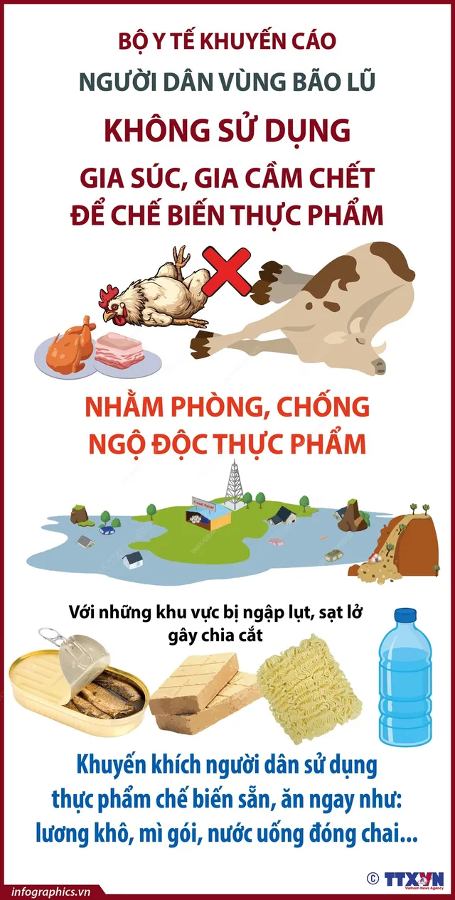 undefined - Ảnh 1. undefined - Ảnh 1.