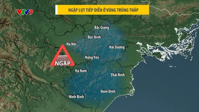 Thời sự: Phương Nam hôm nay - 13/9/2024