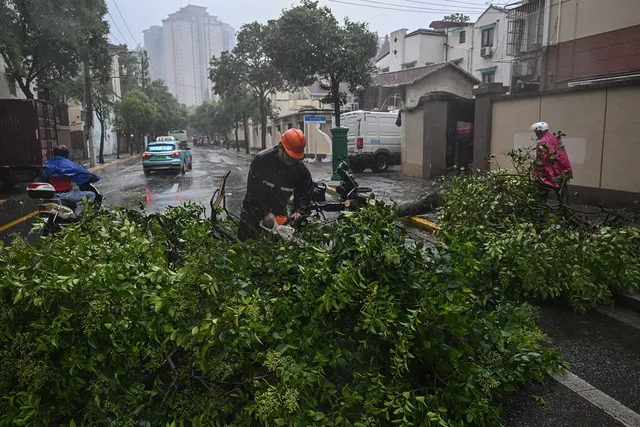 Bão Bebinca mạnh nhất 7 thập kỷ đổ bộ Thượng Hải, sức tàn phá không kém bão Yagi - Ảnh 1.