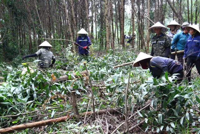 Thực hiện cưỡng chế bàn giao mặt bằng cho Dự án cao tốc Bắc - Nam đoạn qua Quảng Bình - Ảnh 6.