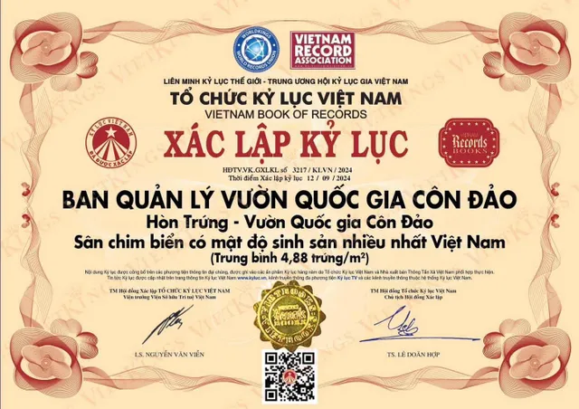 Hòn Trứng Côn Đảo xác lập kỷ lục Việt Nam - Ảnh 1.