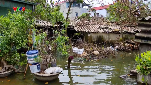 Bản tin Alo Doctor (ngày 22/9/2024): Phòng tránh các bệnh đường tiêu hóa sau mùa lũ