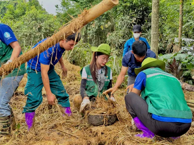 Hoa hậu Bảo Ngọc hỗ trợ bà con Tuyên Quang dựng nhà sau bão lũ - Ảnh 3.