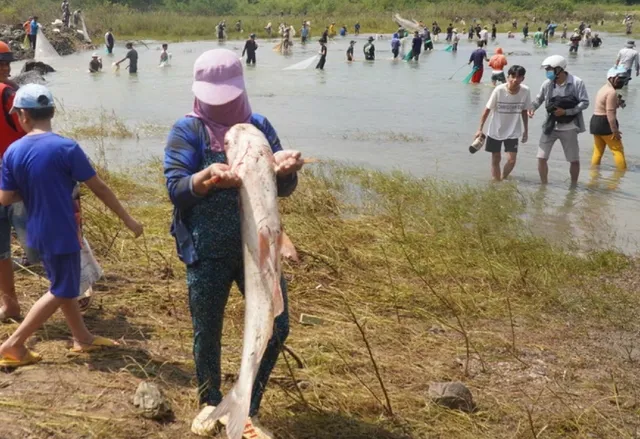 Thủy điện Trị An đóng đập tràn, người dân đổ xô đi bắt cá - Ảnh 4.