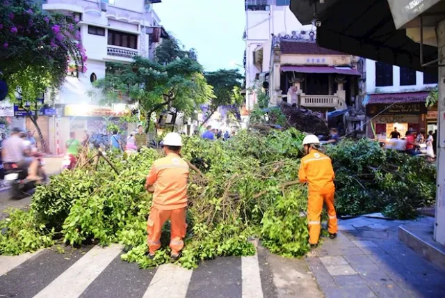 Hà Nội chi hơn 200 tỷ đồng để khắc phục hậu quả bão số 3 - Ảnh 3.