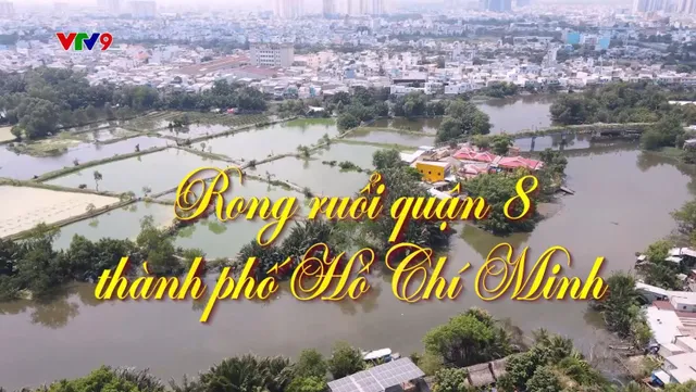 Rong Ruổi Phương Nam: Rong ruổi quận 8 TpHCM