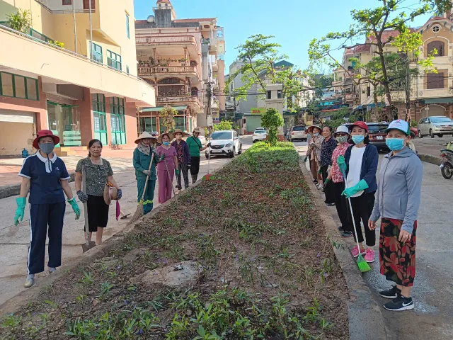 Thành phố Hạ Long đồng loạt xây dựng thành phố hoa, thành phố xanh sau bão - Ảnh 3.