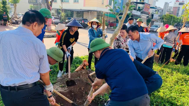 Thành phố Hạ Long đồng loạt xây dựng thành phố hoa, thành phố xanh sau bão - Ảnh 12.