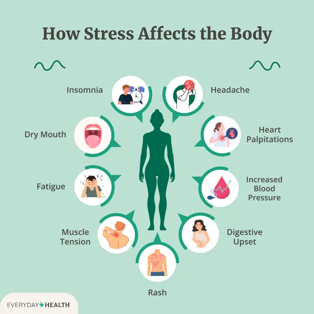 Mối quan hệ giữa stress và các bệnh mãn tính - Ảnh 1.