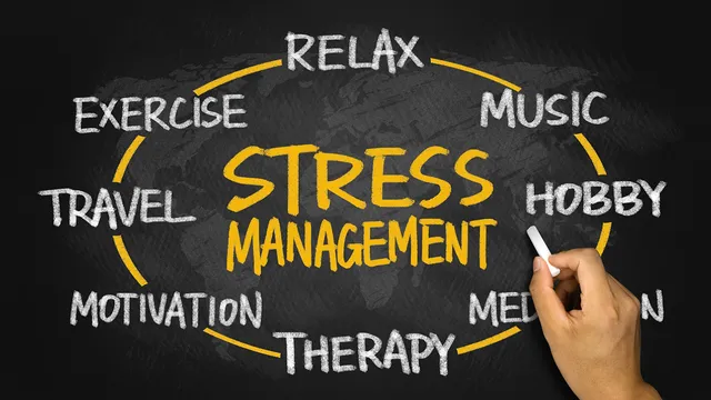 Mối quan hệ giữa stress và các bệnh mãn tính - Ảnh 2.