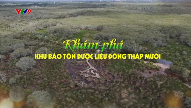 Rong ruổi phương nam_Tập: Khám phá khu bảo tồn dược liệu Đồng Tháp Mười