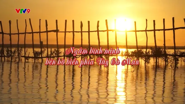 Rong ruổi phương nam_Tập: Ngắm bình minh bên bờ biển phía Tây Cà Mau