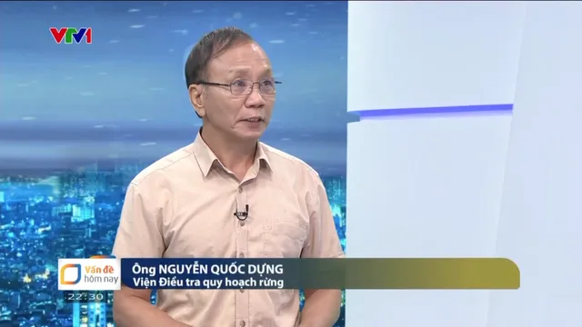 Giải pháp nào để phục hồi và bảo vệ rừng hiệu quả sau thiên tai? - Ảnh 2.