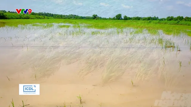 Mưa to, nhiều địa phương phía nam bị ngập
