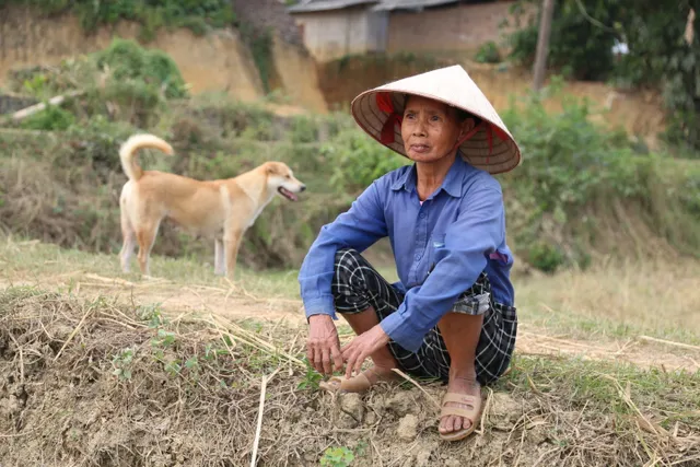 Sống sau lũ: Chung tay góp sức giúp bà con vùng lũ vượt qua khó khăn - Ảnh 10.