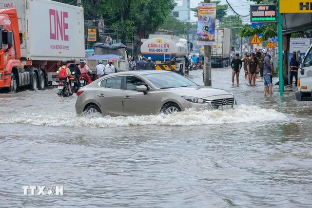 Triều cường ở Cần Thơ có thể xấp xỉ mực nước lịch sử năm 2022 - Ảnh 1.