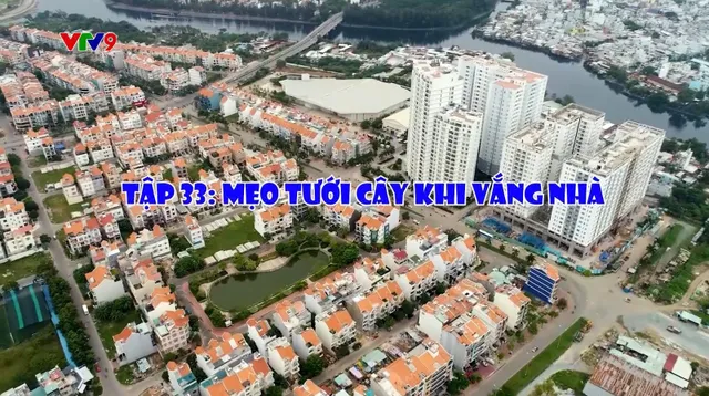 Chuyện Phố Phường_Tập 33