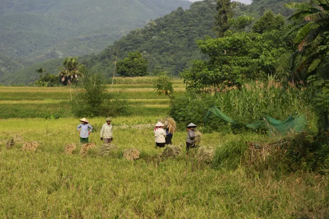 Người dân thôn Làng Nủ nén đau thương, xây dựng cuộc sống mới - Ảnh 9.