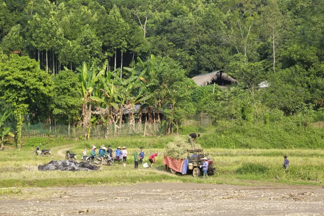 Người dân thôn Làng Nủ nén đau thương, xây dựng cuộc sống mới - Ảnh 12.