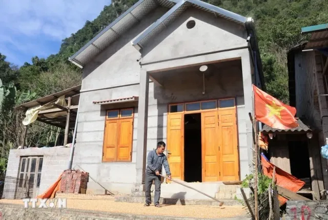 About 315,000 households in need of housing support: Ministry - Ảnh 1.