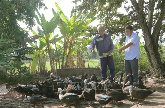 Soc Trang ethnic minority areas reap fruit in poverty alleviation - Ảnh 1.