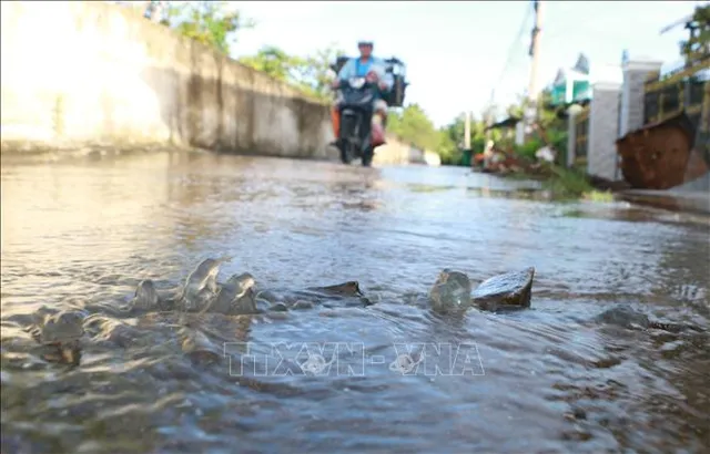 Sóc Trăng: Triều cường dâng ảnh hưởng đến đời sống người dân - Ảnh 1.