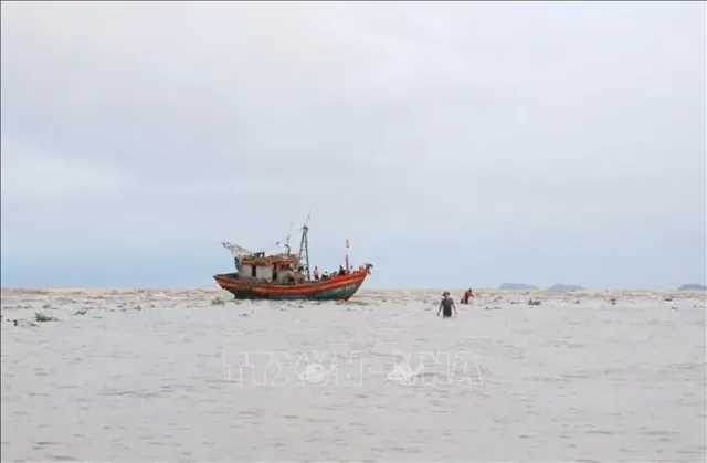 Cửa biển Lạch Vạn bị bồi lắng, tàu đánh cá công suất lớn liên tục bị mắc cạn - Ảnh 1.