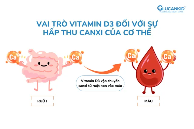 Vitamin D3 cho trẻ em, bạn đã bổ sung đúng cách chưa? - Ảnh 1.