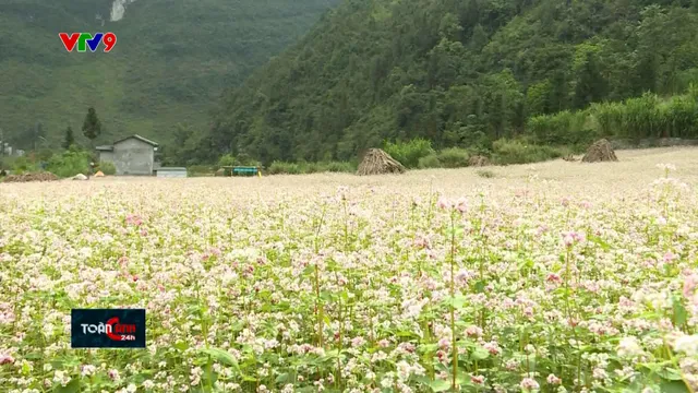 Hà Giang vào mùa du lịch