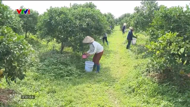 Gần 120.000 hecta đất nông nghiệp bị thoái hóa và giải pháp quản lý đất bền vững - Ảnh 4.