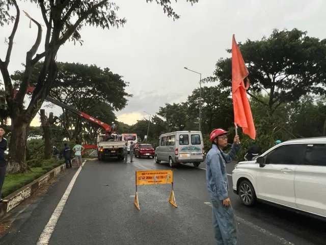 Cây xanh đổ chắn ngang Quốc lộ 51, giao thông cửa ngõ Vũng Tàu ùn ứ gần 5km - Ảnh 4.