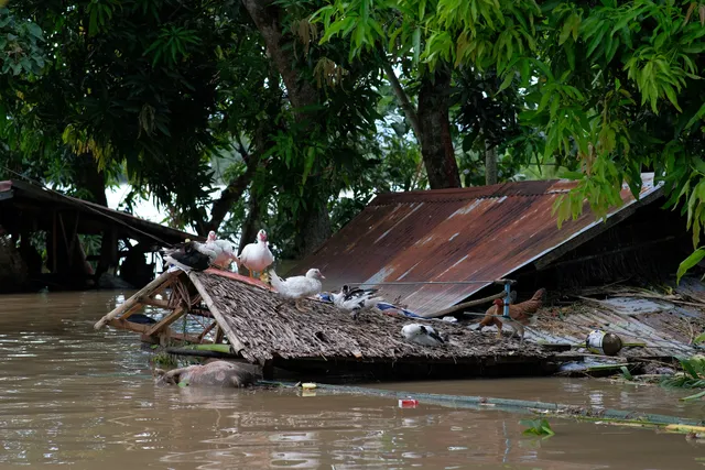 Lũ lụt ở Philippines: Số người chết hoặc mất tích tăng lên gần 130 - Ảnh 1.