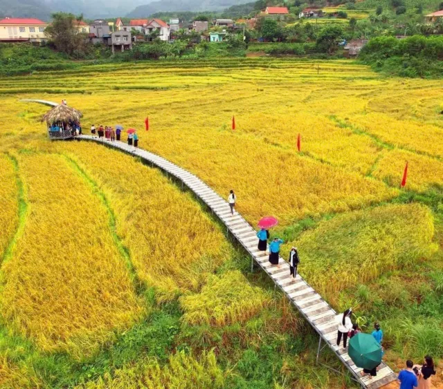 Quảng Ninh: Sôi nổi khai mạc lễ hội Mùa vàng miền soóng cọ tại huyện Tiên Yên - Ảnh 7.