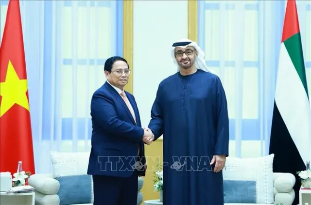 Acceleration, breakthought in ties between Vietnam and Middle East countries - Ảnh 1.