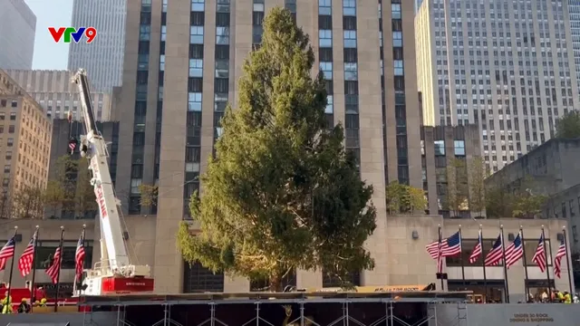 Thành phố New York chuẩn bị cho Noel