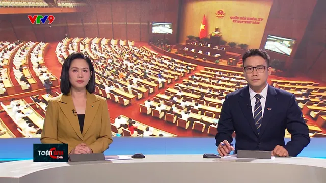 Thời sự: Toàn cảnh 24h (11/11/2024)