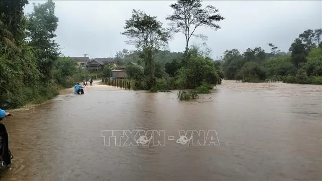 Bình Định chủ động ứng phó với mưa lớn - Ảnh 1.