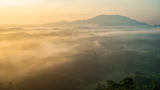 Ngắm dải Ngân hà trong màn đêm và đón bình minh bồng bềnh ở đồi chè Long Cốc  - Ảnh 3.