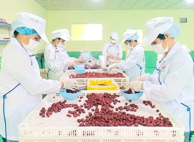 Vietnam accelerates year-end agricultural exports - Ảnh 1.