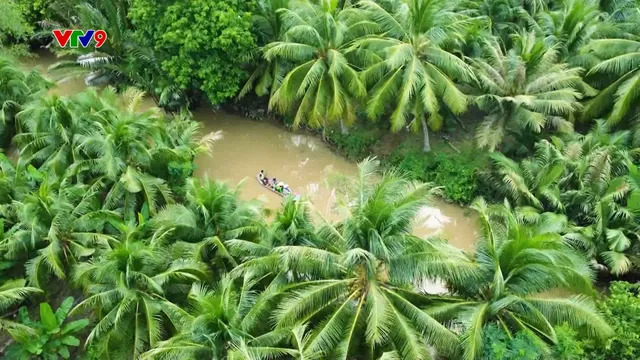 Ấn tượng phương Nam: Hồn quê nơi xứ dừa