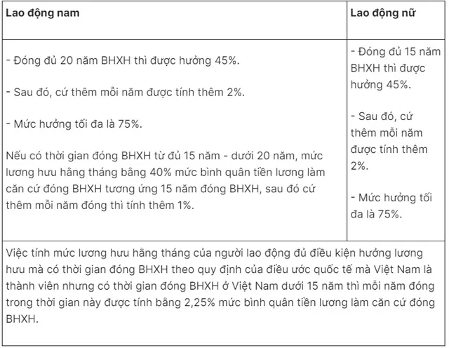 Cách tính lương hưu năm 2025 đối với nguời tham gia BHXH bắt buộc và BHXH tự nguyện - Ảnh 5.