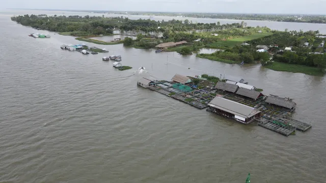 Cồn Sơn - Viên ngọc xanh giữa sông Hậu, điểm đến du lịch cộng đồng lý tưởng - Ảnh 7.