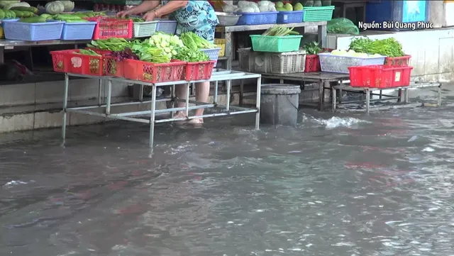 TP Hồ Chí Minh ngập úng do triều cường lên cao - Ảnh 3.