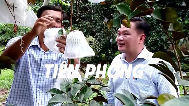 THTT Hồ Chí Minh - Hành trình khát vọng 2024: Đổi mới và phát triển (20h10, VTV1) - Ảnh 3.