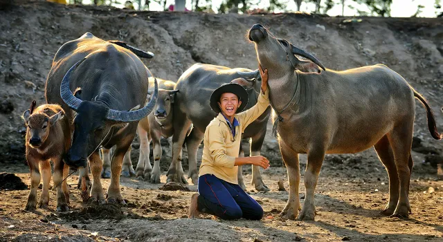 Khám phá mùa len trâu kỳ thú ở Đồng Tháp Mười - Ảnh 5.